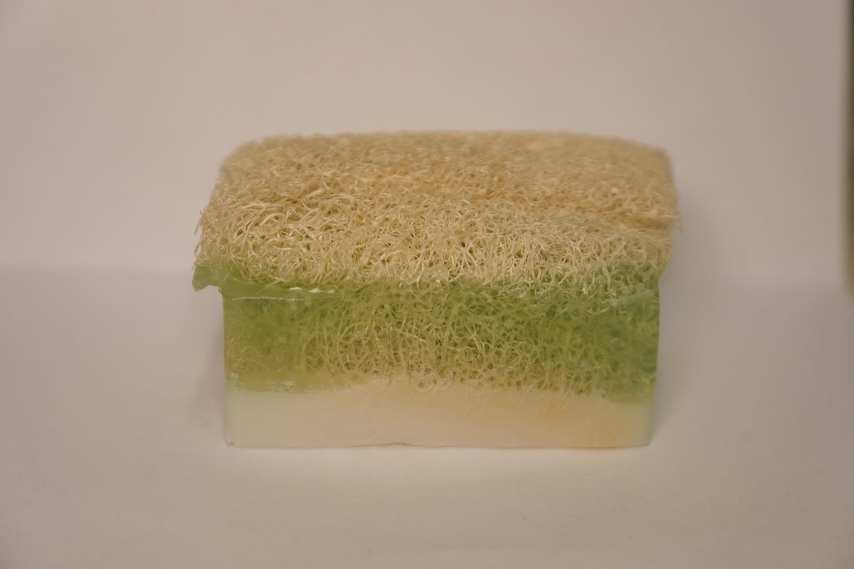 Eşek Sütlü Çay Ağacı Sabunu 160gr