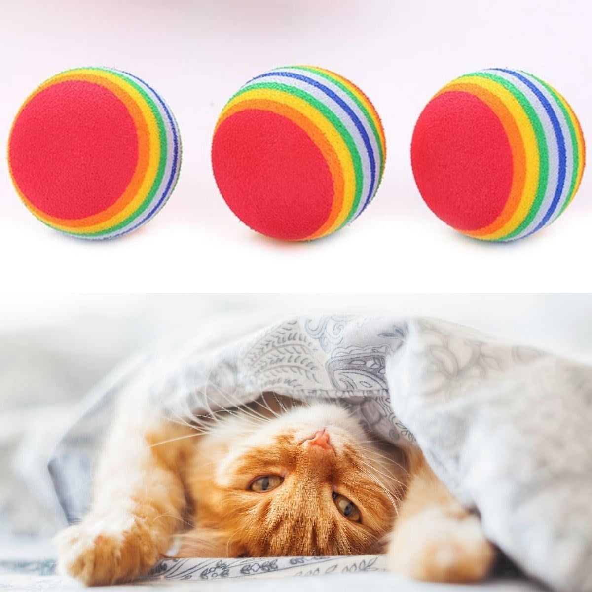 ® 3lü Gökkuşağı Sünger Kedi Köpek Çiğneme Oyun Topu 4,2 cm
