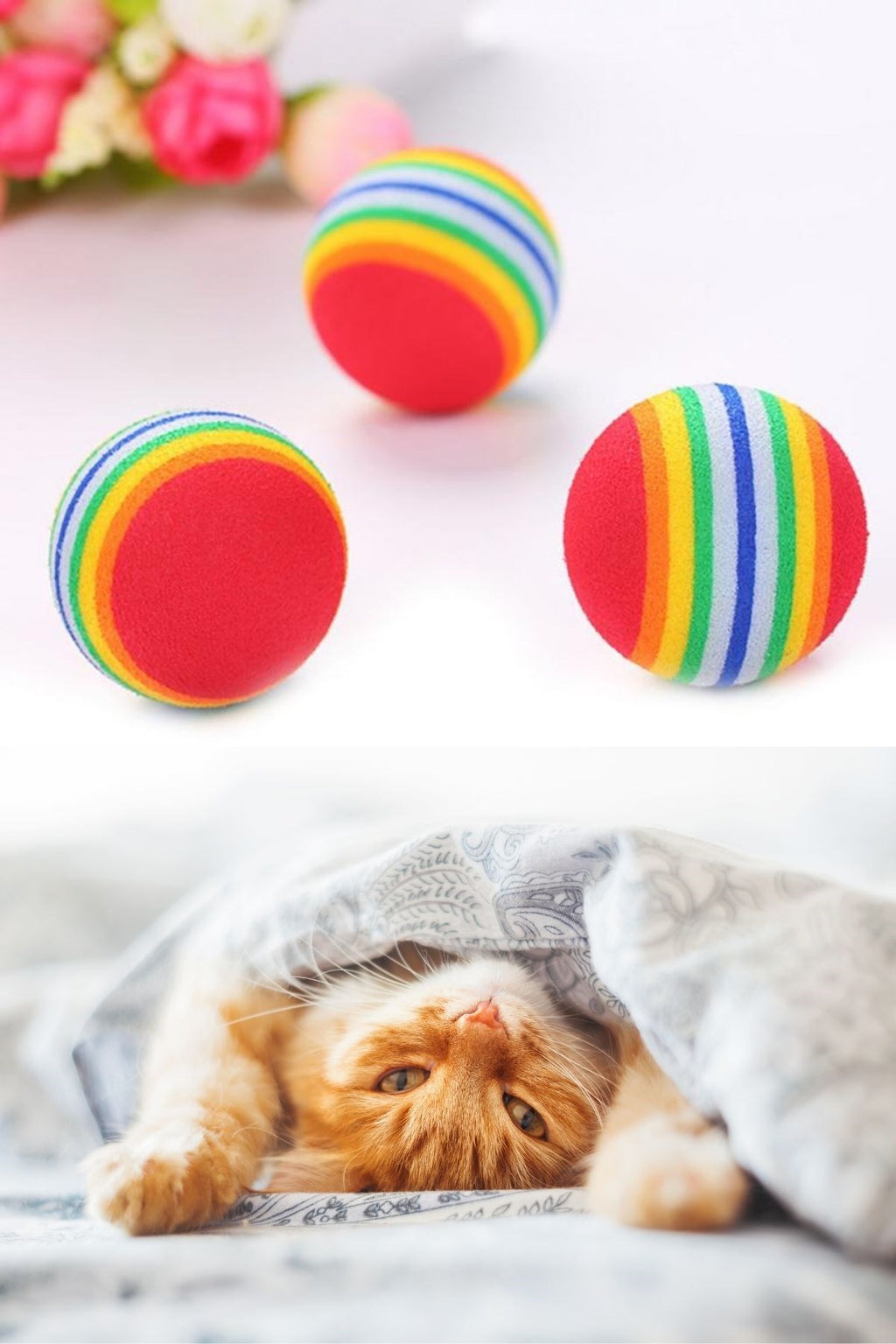 ® 3lü Gökkuşağı Sünger Kedi Köpek Çiğneme Oyun Topu 4,2 cm