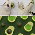 Avokado Model Yapışkanlı Kedi Oyuncağı Yenilebilir Kedi Nanesi Otu