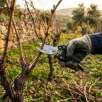 Çelik Bağ Makası - Geniş Ağızlı - Yedek Yaylı - 200 mm — görsel 2