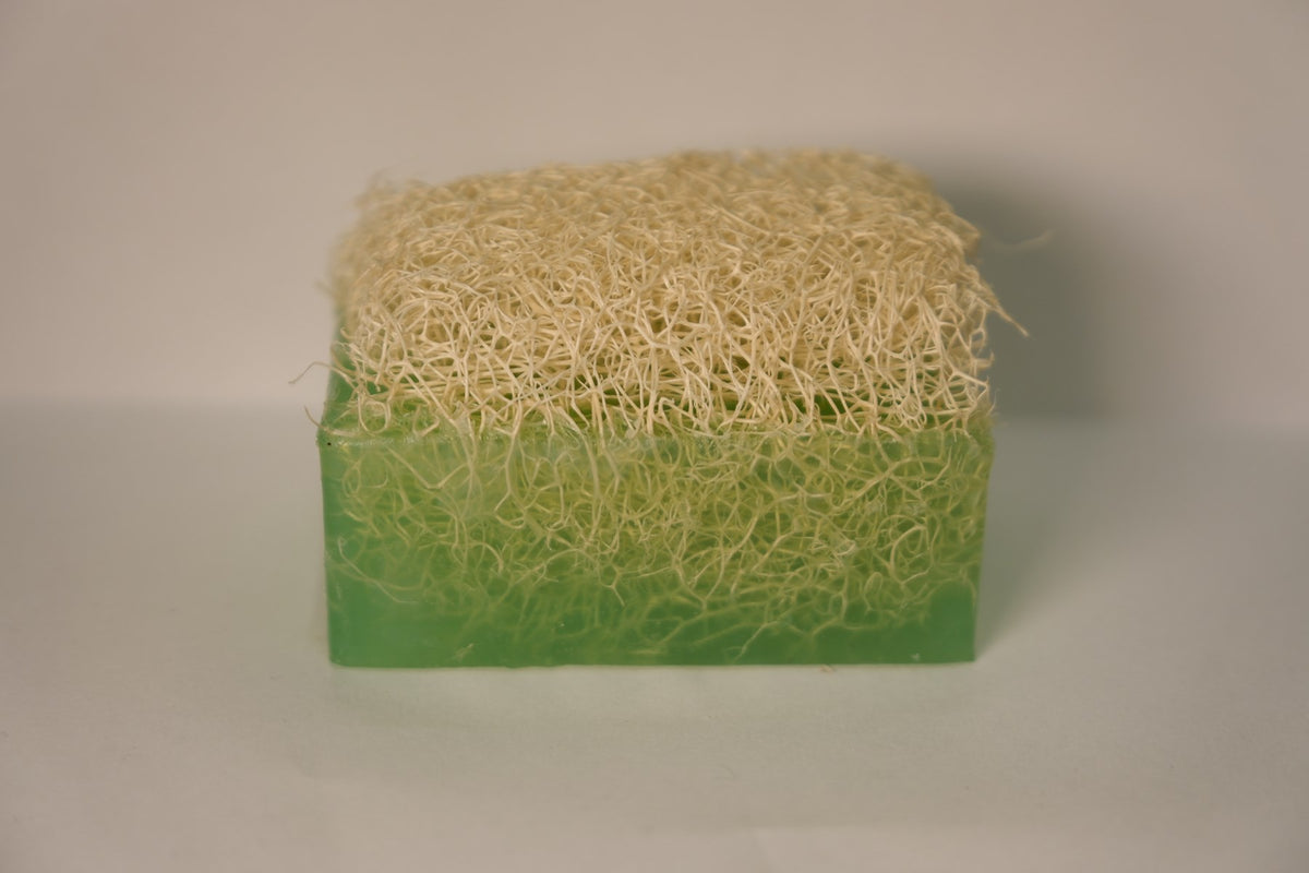Aloevera Sabunu 160gr