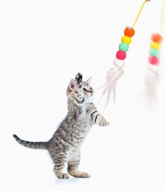 Elastik Yapışkanlı Kedi Oyun Oltası — görsel 4