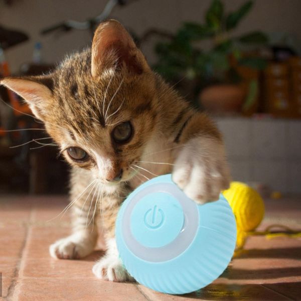 İnteraktif Kedi Köpek Şarjlı Oyun Topu — görsel 3