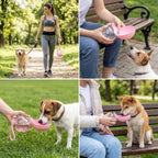 Katlanabilir Kaseli 2’si 1 Arada Kedi Köpek Su Şişesi, Sızdırmaz ve Taşıma Askılı Seyahat Suluk