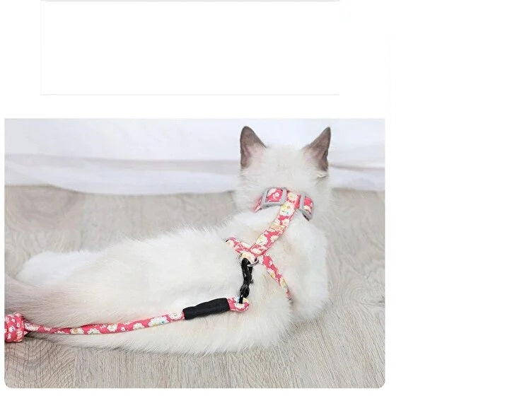 Kedi Gezdirme Göğüs Tasması — görsel 3