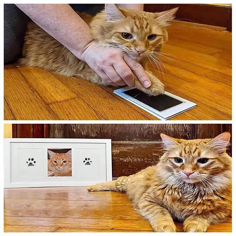 Kedi Köpek Pati İzi Fotoğraf Çerçevesi Seti — görsel 5