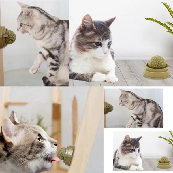 Kedi Nanesi Oyun Topu — görsel 2
