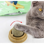 Kedi Nanesi Oyun Topu — görsel 3
