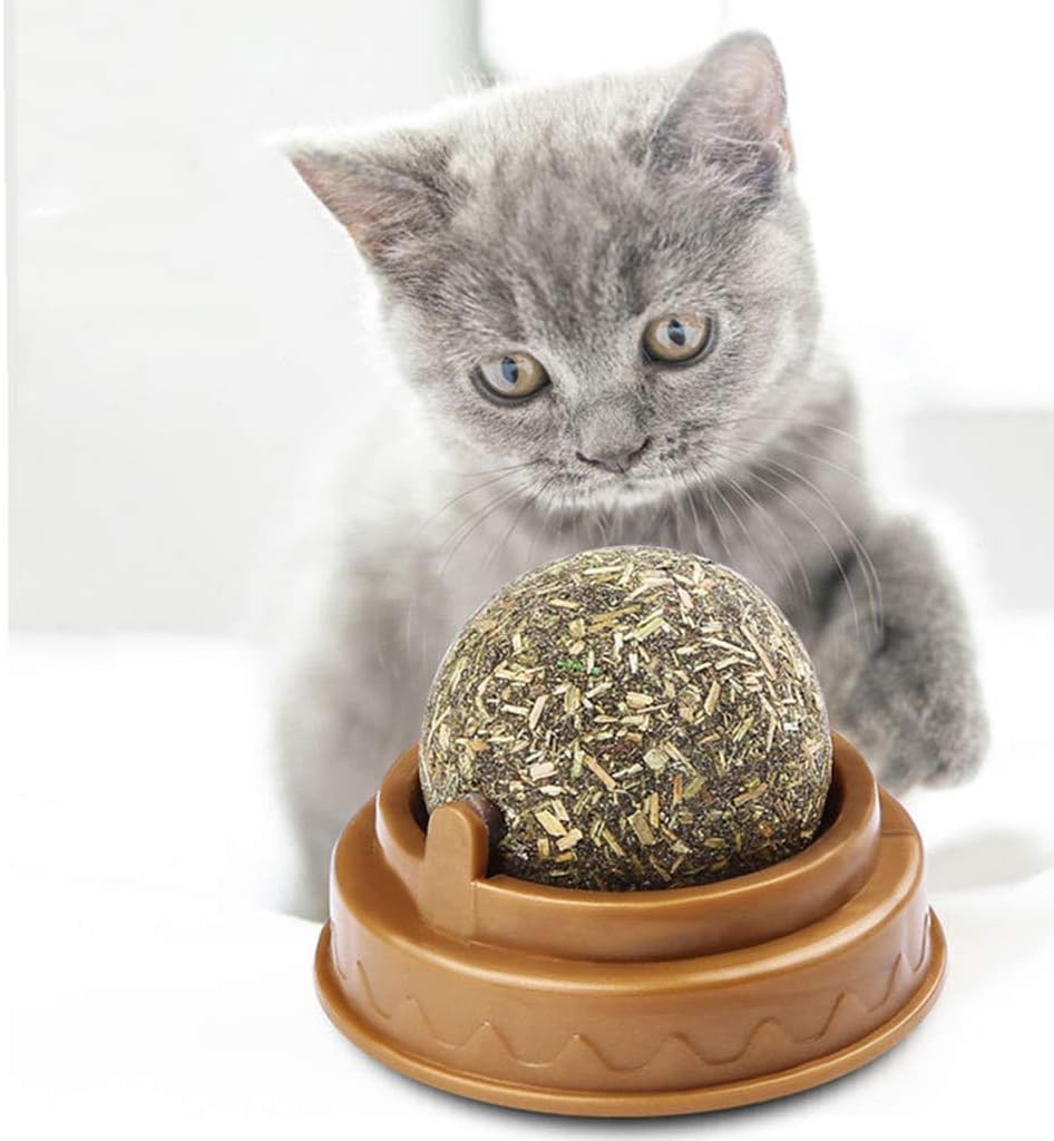 Kedi Nanesi Oyun Topu — görsel 4