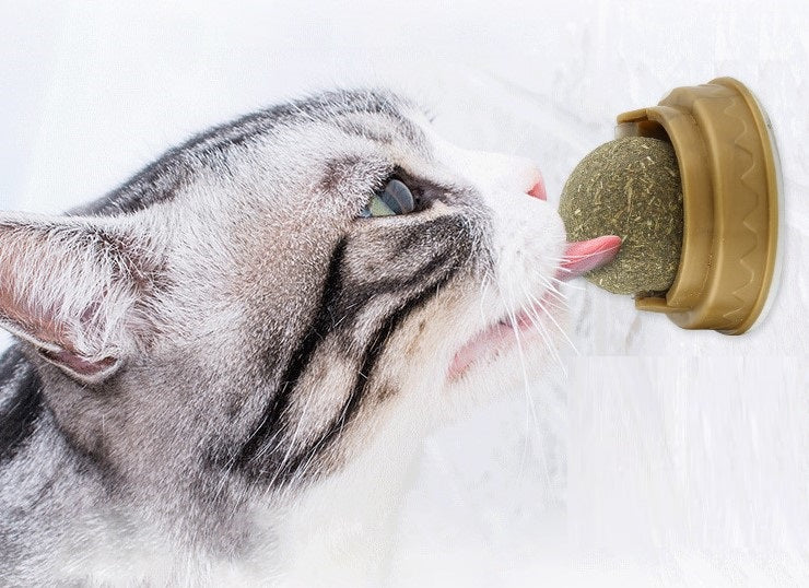 Kedi Otu Oyun Topu — görsel 2