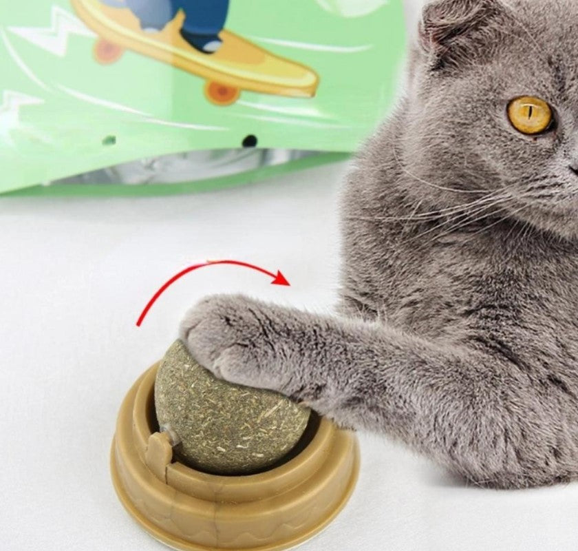 Kedi Otu Oyun Topu — görsel 3