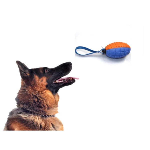 Köpek Diş Kaşıma Oyun Topu — görsel 2
