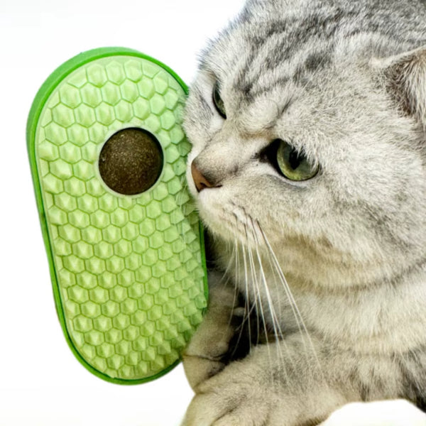 Silikon Kaşıyıcılı Kedi Otu — görsel 2