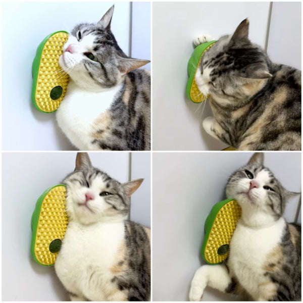 Silikon Kaşıyıcılı Kedi Otu — görsel 4