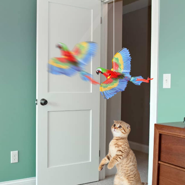 Uçan Papağan Kedi Oyuncağı — görsel 5