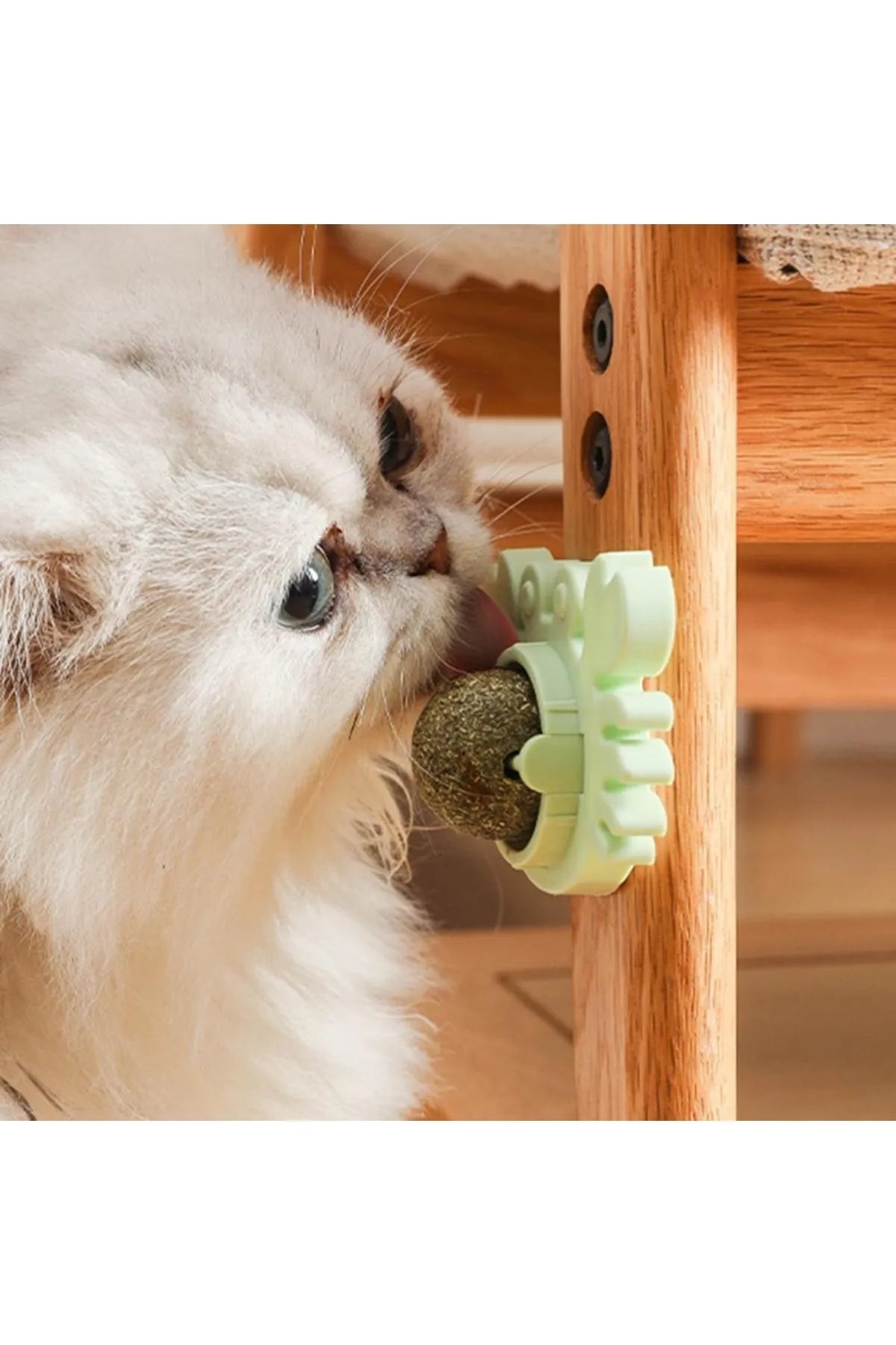 Yengeç Kedi Otu Oyun Topu — görsel 4
